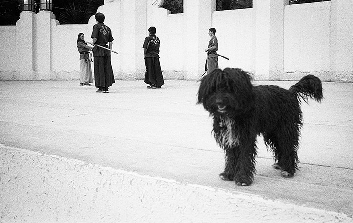 tyler-woodford-mexico-city-photography-itsnicethat-13.jpg