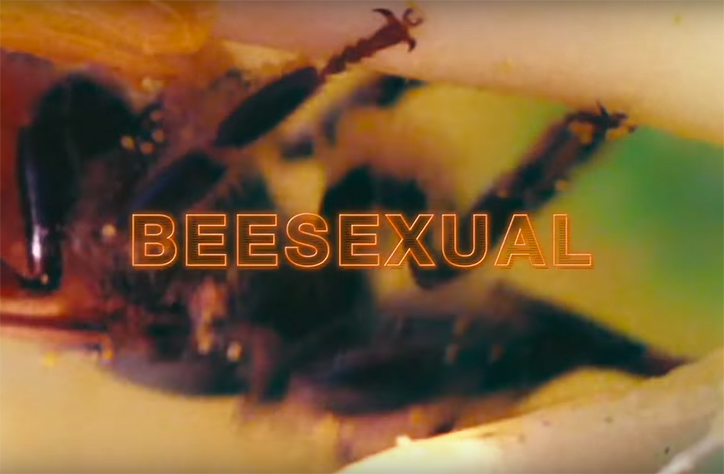 Pornhub-bee-porn-operation-honey-bee-miscellaneous-itsnicethat-02.png