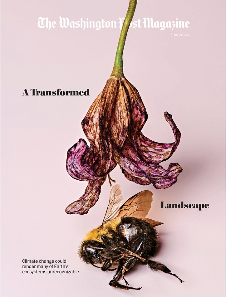 TheWashingtonPost-ClimateChange-Publication-itsnicethat-02.jpg