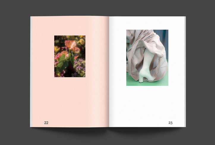 elise-rigollet-rosanna-lefeuvre-graphic-design-itsnicethat-03.jpg