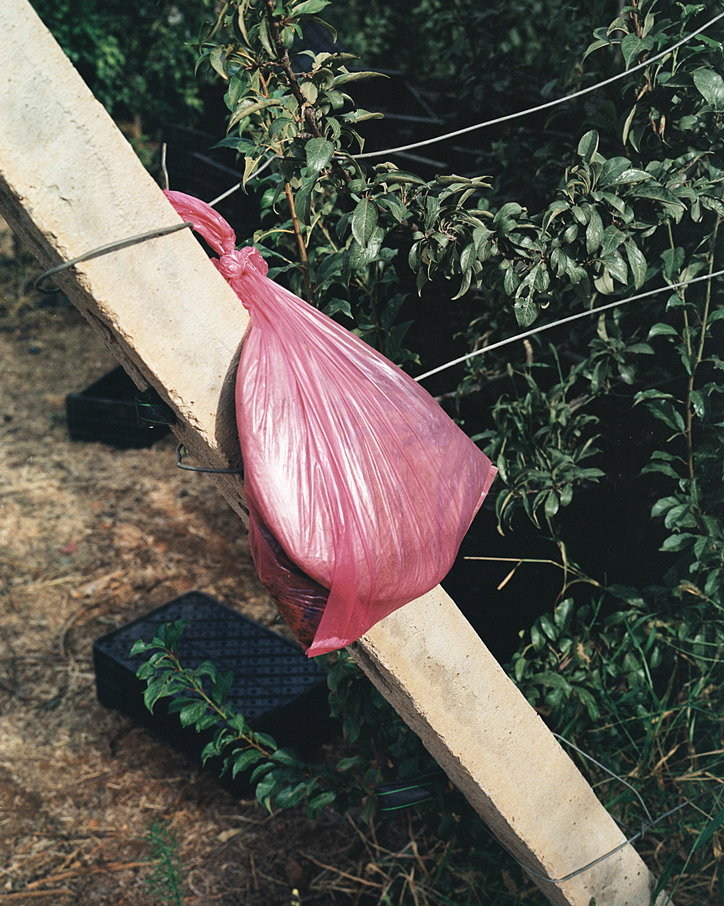 Ilyes-Griyeb-Ait-Ouallal-photography-itsnicethat-14.jpg