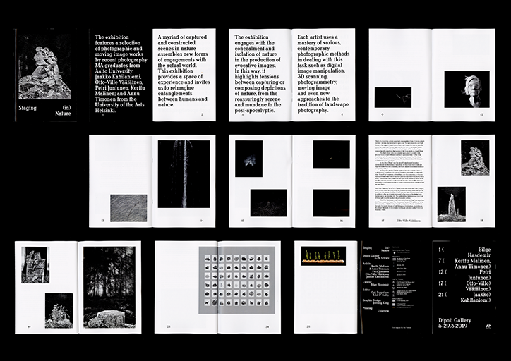joosung-kang-staging-in-nature-graphic-design-itsnicethat.png