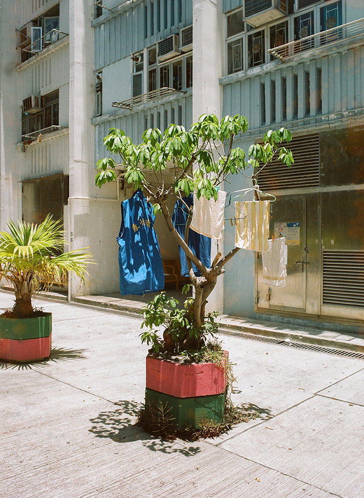 jimmi-ho-laundry-art-photography-itsnicethat-07.jpg