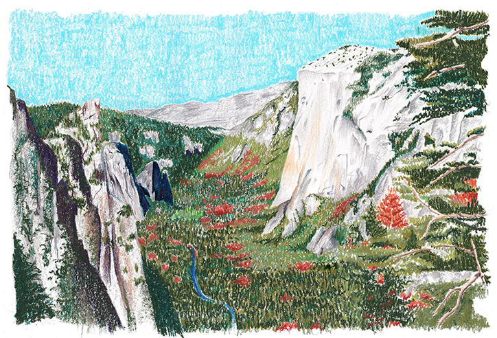 HarrietLyall-Illustration-itsnicethat-07.png