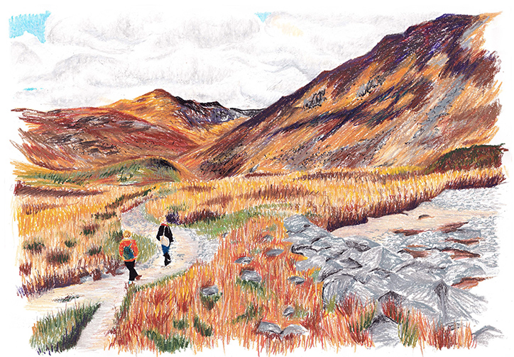 HarrietLyall-Illustration-itsnicethat-11.png