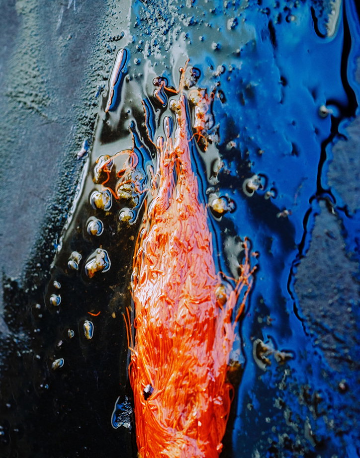 marvin-leuvrey-mold-magazine-noma-photography-itsnicethat.jpg
