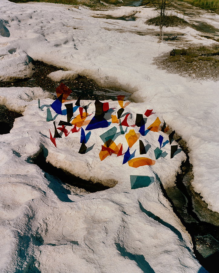 Synchrodogs-PalmPhotoPrize2019-Photography-itsnicethat-06.jpg
