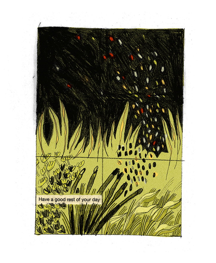 peony-gent-park-bench-kensington-illustration-publication-itsnicethat-09.jpg