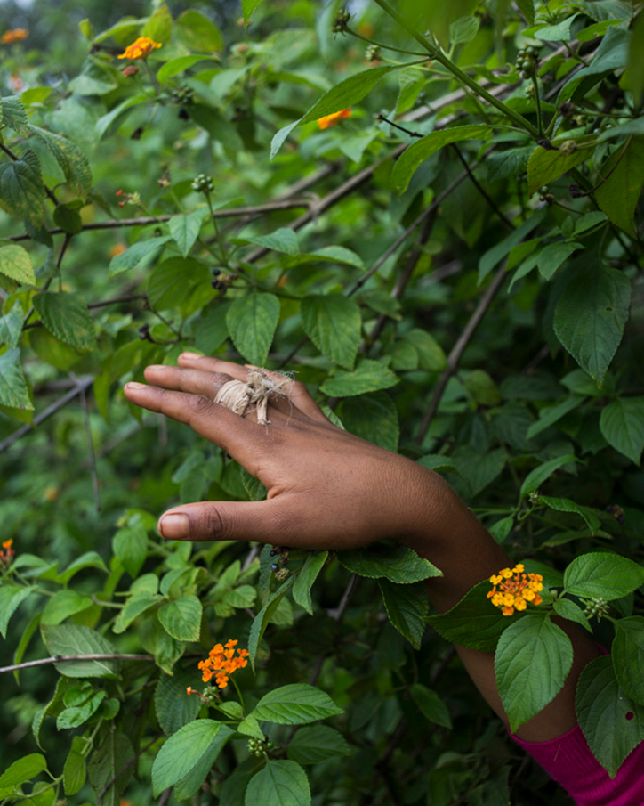 uma-bista-our-songs-from-the-forest-photography-itsnicethat-16.png