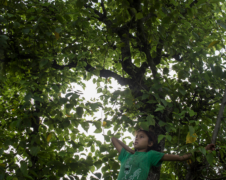 uma-bista-our-songs-from-the-forest-photography-itsnicethat-08.png