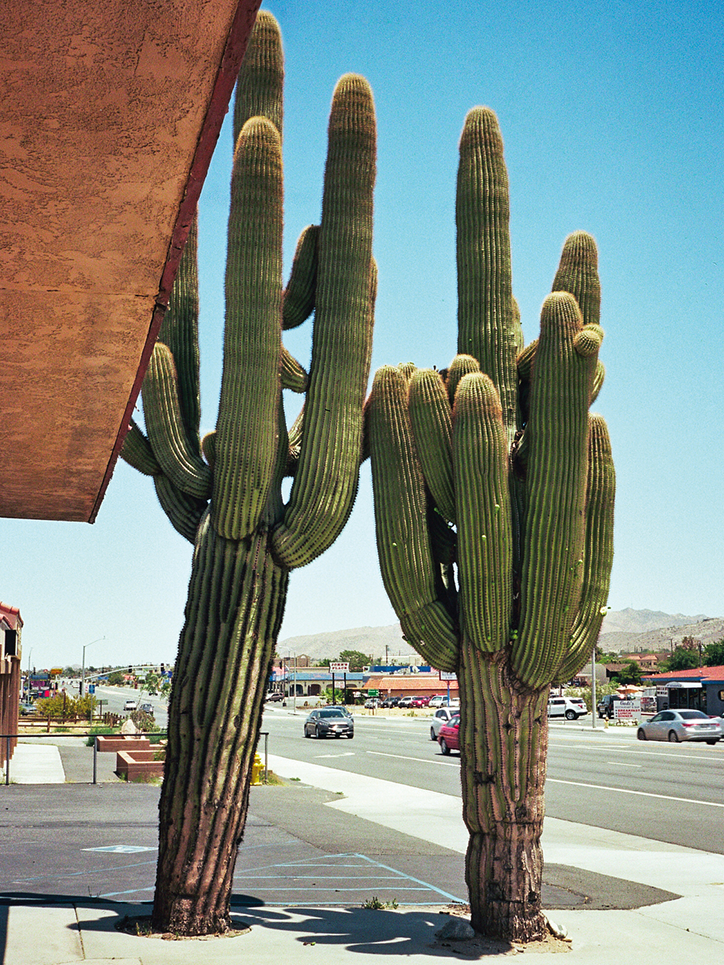 leonardo-scotti-photography-itsnicethat-12.png
