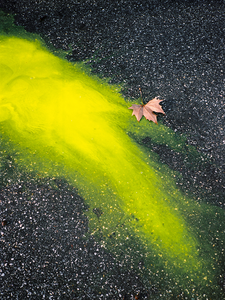 leonardo-scotti-photography-itsnicethat-09.png