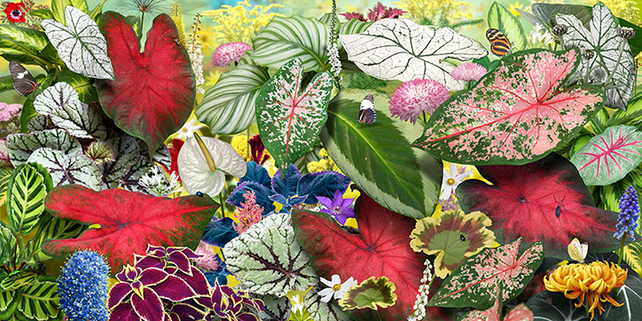 ruud-van-empel-photography-itsnicethat-20.png