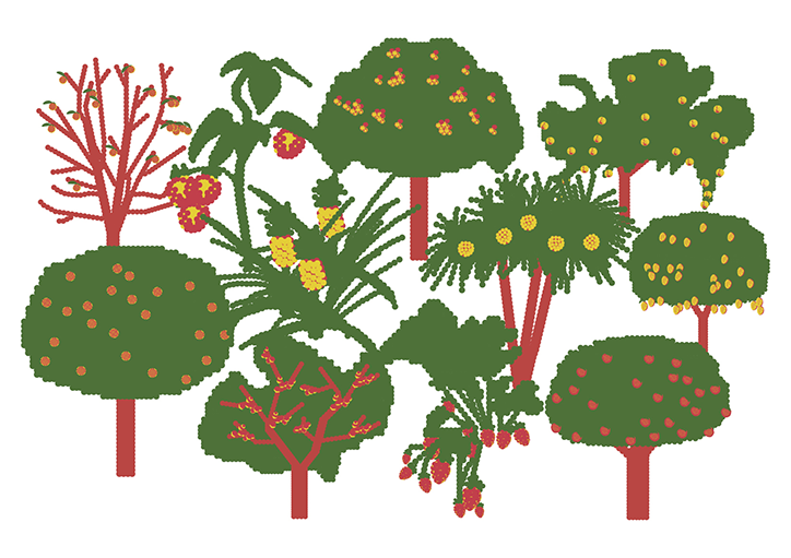 son-ayong-graphic-design-cox-tree-its-nice-that-33.png
