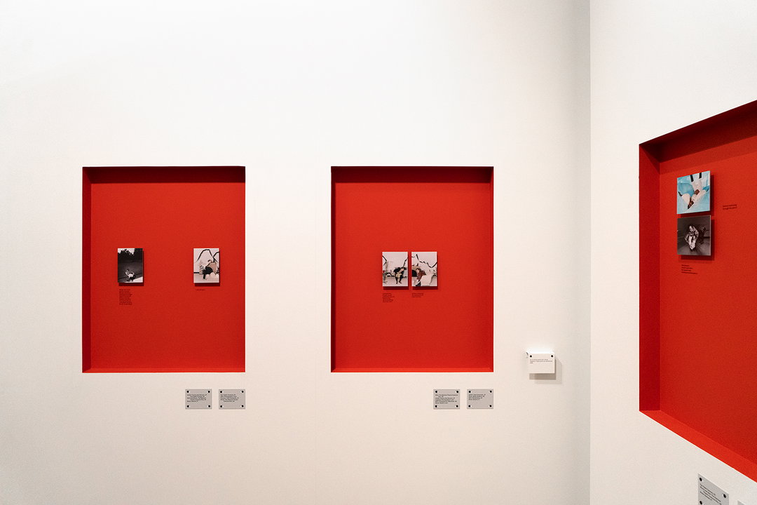 VeronicaDitting-SomersetHouse-GraphicDesign-itsnicethat-04.jpg