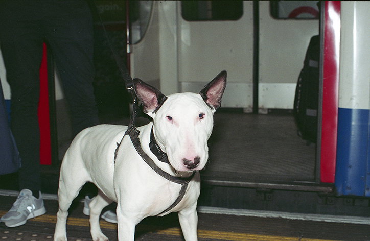 harry-f-conway-bakerloo-photography-publication-itsnicethat-04.jpg