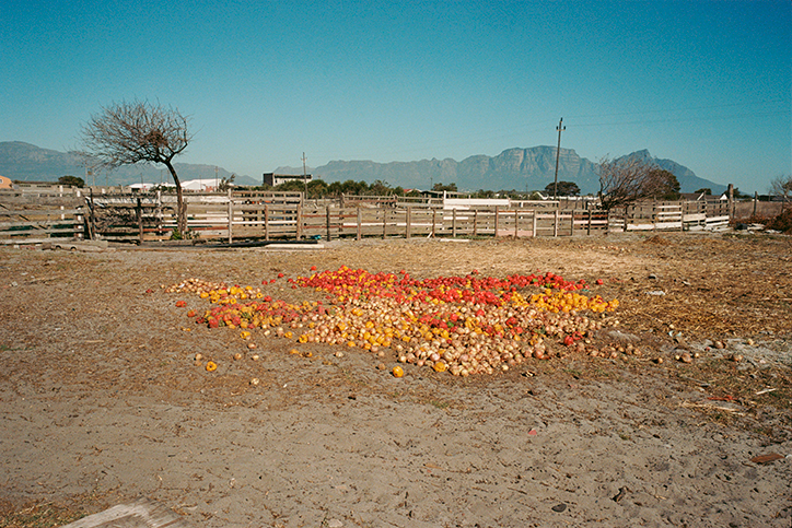 Farm-Justin-Keene-photography-itsnicethat-04.png