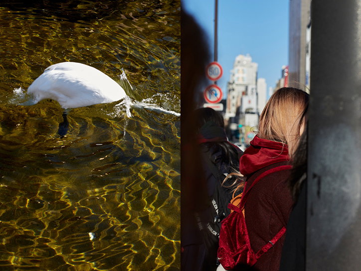 puzzleman-leung-work-photography-itsnicethat-12.jpg