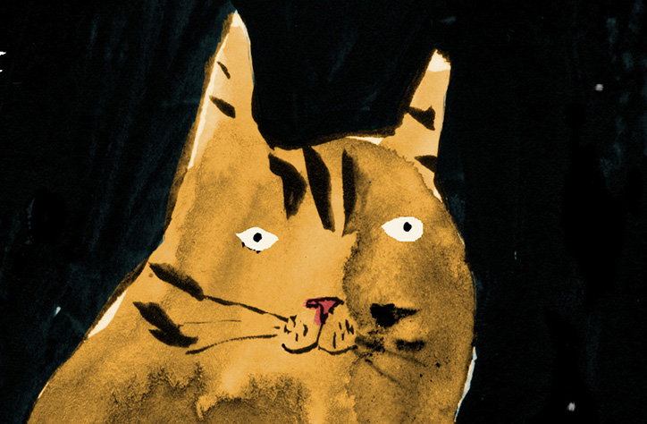 Illustrator Faye Moorhouse has made a trilogy of zines about her cat