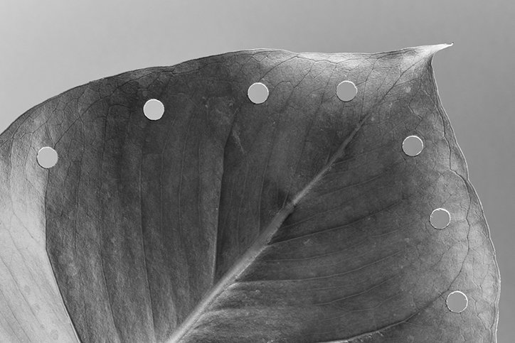 philotheus-nisch-die-epilog-photography-itsnicethat-7.jpg
