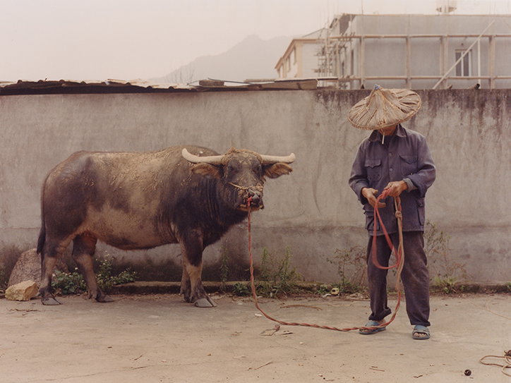 greg-lin-jiajie-fujian-work-photography-itsnicethat-09.jpg