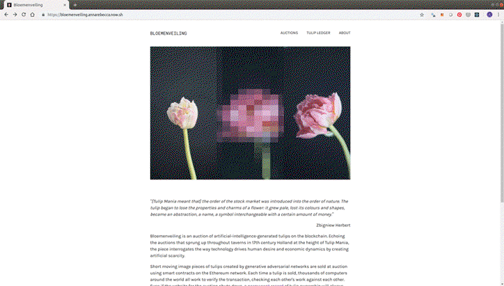 anna-ridler-digital-art-itsnicethat-4.gif