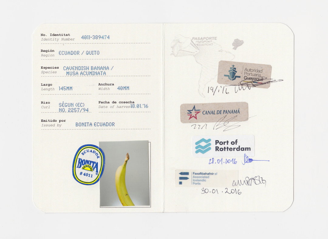response-and-responsibility-food-bigger-than-the-plate-itsnicethat-01.jpg