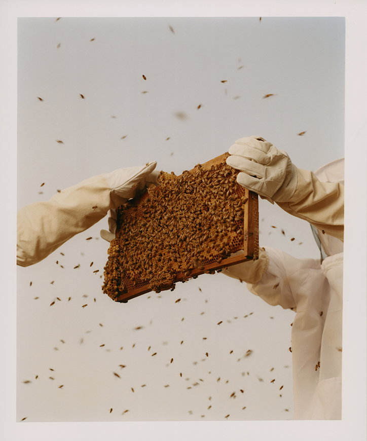 jin-jia-ji-bal-work-photography-itsnicethat-06.jpg