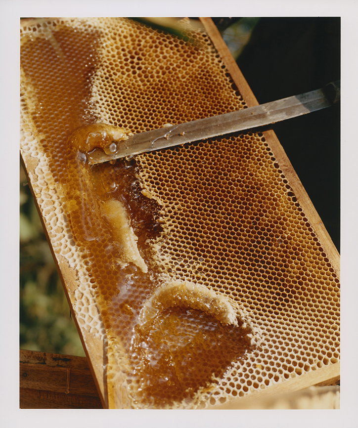 jin-jia-ji-bal-work-photography-itsnicethat-08.jpg