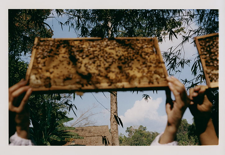 jin-jia-ji-bal-work-photography-itsnicethat-10.jpg