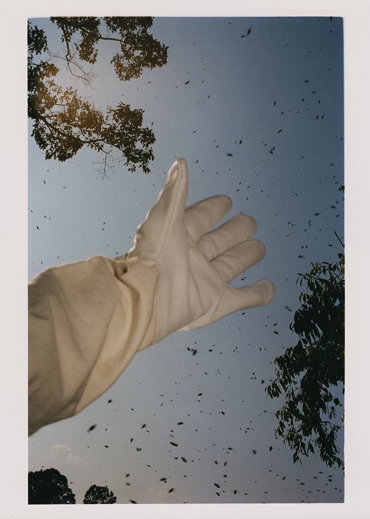 jin-jia-ji-bal-work-photography-itsnicethat-11.jpg