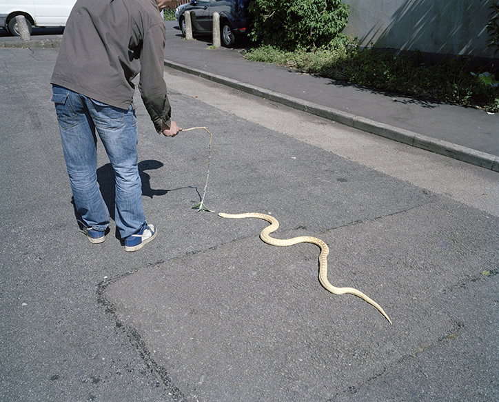 fergus-thomas-bird-of-dreams-photography-itsnicethat-08.jpg