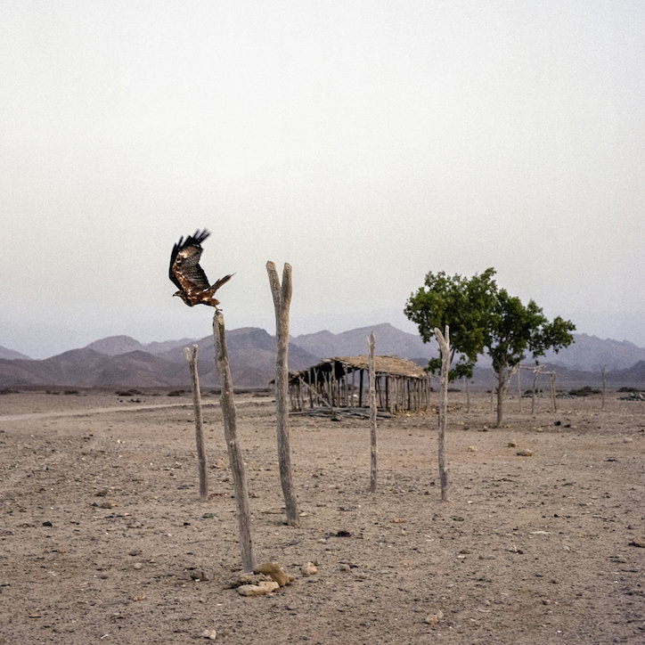 response-and-responsibility-nichole-sobecki-climate-for-conflict-photography-itsnicethat-05.jpg