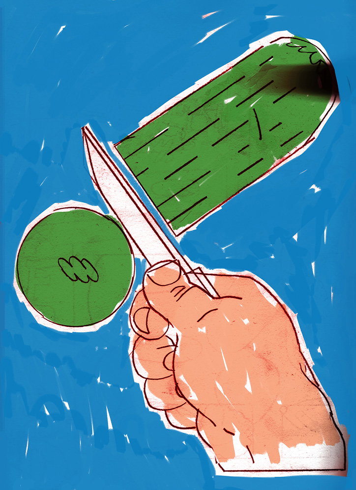 AlexRam-CuttingaCourgette-Illustration-itsnicethat-03.jpg
