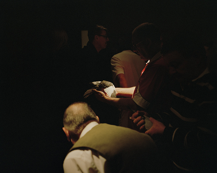 fergus-thomas-bird-of-dreams-photography-itsnicethat-13.png