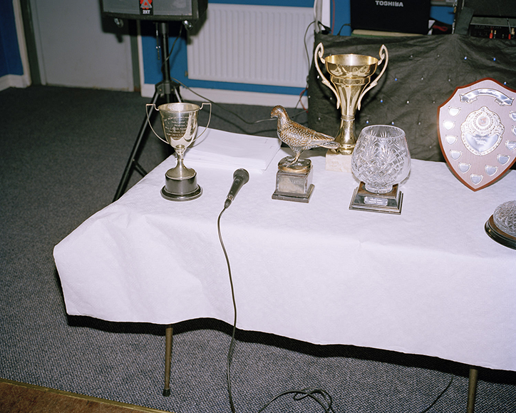 fergus-thomas-bird-of-dreams-photography-itsnicethat-14.png