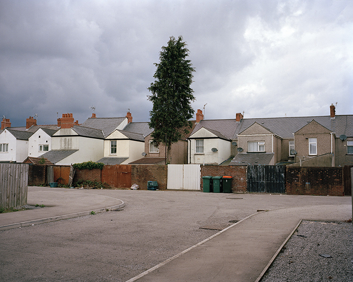 fergus-thomas-bird-of-dreams-photography-itsnicethat-15.png