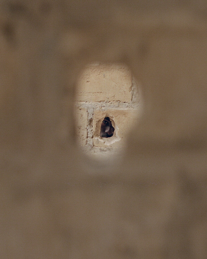 Aria-Shahrokhshahi-kalidou-photography-itsnicethat-07.png