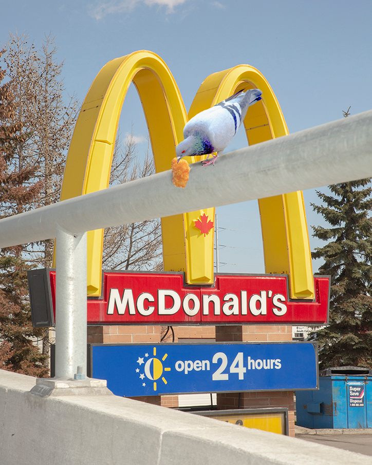 nugget-kyle-berger-if-there-was-money-on-the-ground-someone-would-have-already-found-it-photography-itsnicethat.png