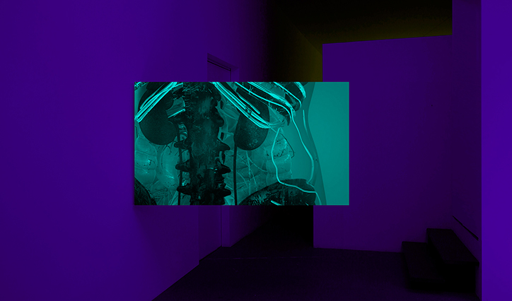Paulo-Arraiano-Sensorial-Divinities-digital-itsnicethat-07.png