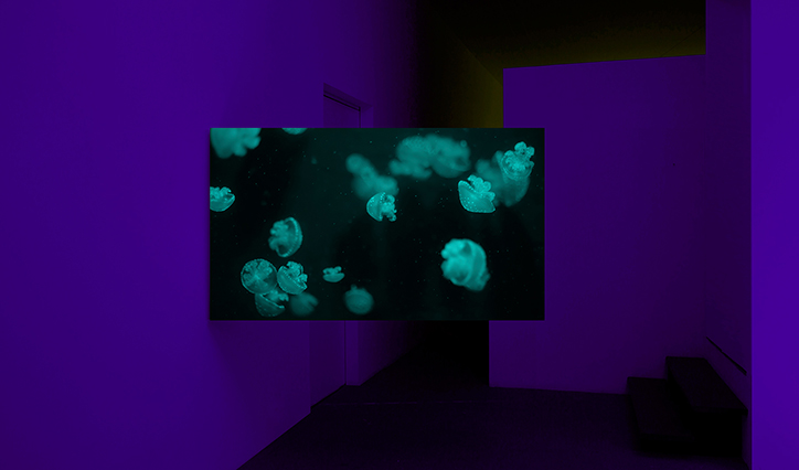 Paulo-Arraiano-Sensorial-Divinities-digital-itsnicethat-06.png