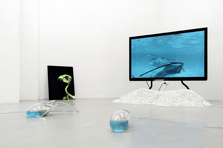 Paulo-Arraiano-Sensorial-Divinities-digital-itsnicethat-02.png