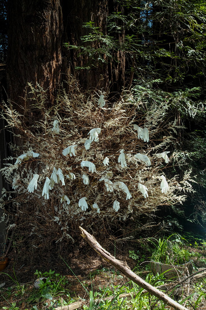 elizabeth-hibbard-photography-itsnicethat-09.jpg