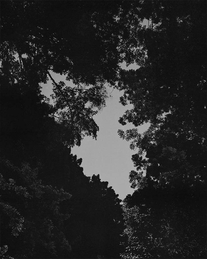 jack-latham-parliament-of-owls-photography-itsnicethat-09.jpg