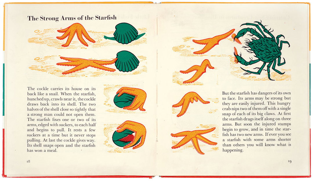 marie_neurath_picturing_science_house_of_illustration_itsnicethat18.jpg