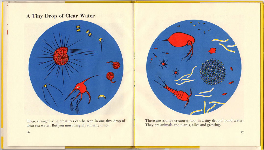 marie_neurath_picturing_science_house_of_illustration_itsnicethat3.jpg