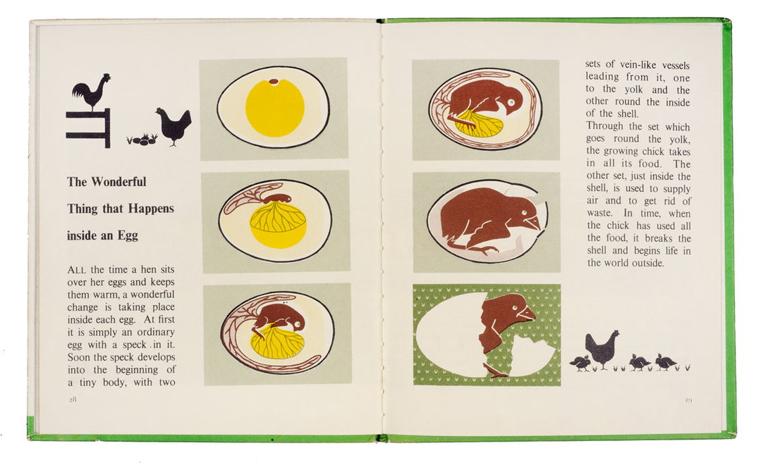 marie_neurath_picturing_science_house_of_illustration_itsnicethat12.jpg