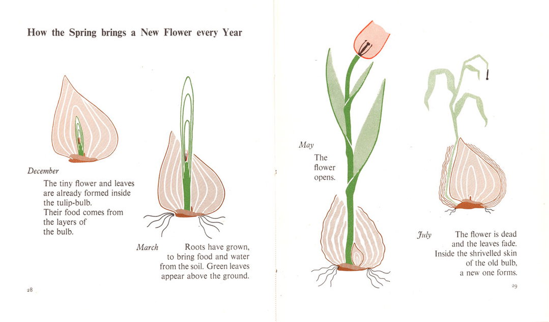 marie_neurath_picturing_science_house_of_illustration_itsnicethat16.jpg