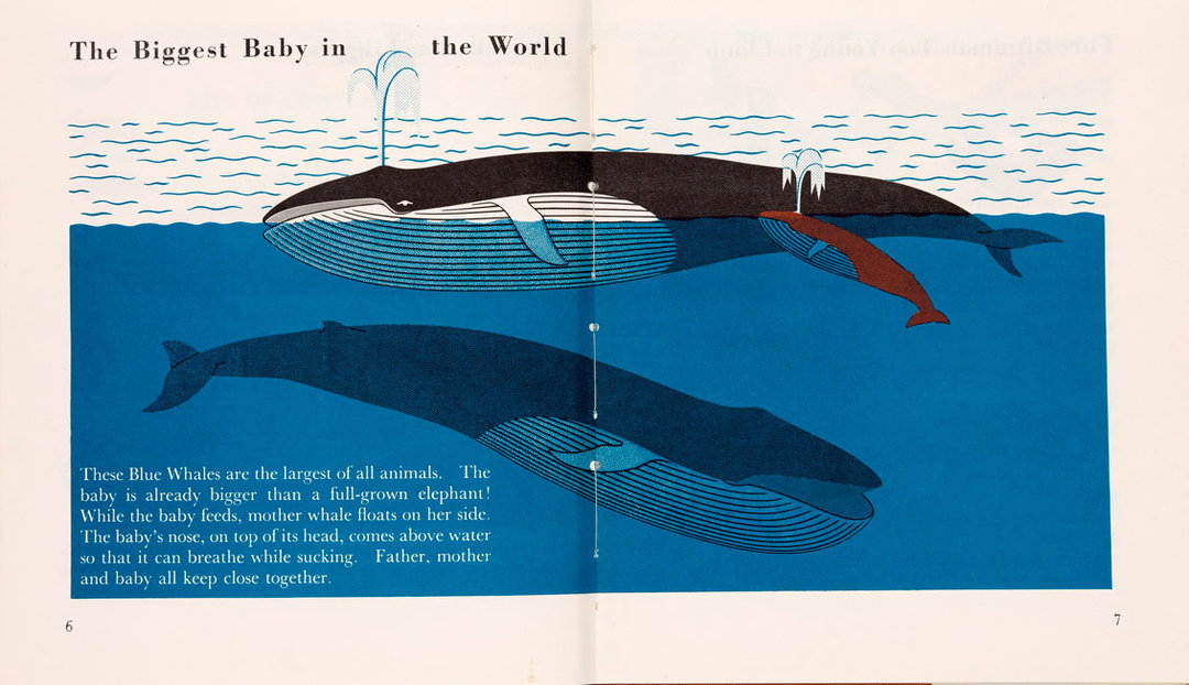 marie_neurath_picturing_science_house_of_illustration_itsnicethat19.jpg