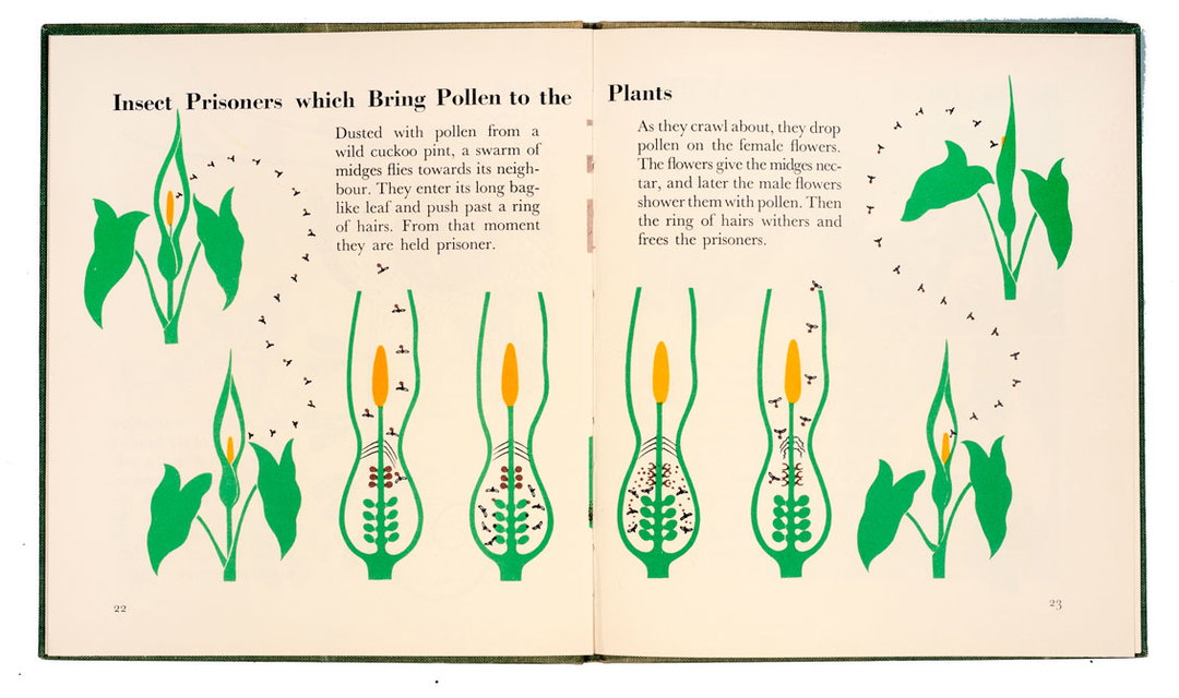 marie_neurath_picturing_science_house_of_illustration_itsnicethat20.jpg